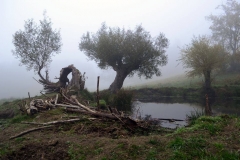 Tady jsme tančili s předky